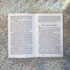 PAUL WILSON - 'LANGUAGE SCRAPS 02' BOOK - Image 3