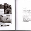 PRIVATE SORROW - CREATE DISTURBANCE IN YOUR MIND BOOK - Image 2