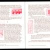 JESSICA HIGGINS - THEY SAID! BOOK - Image 3