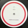 ADULKT LIFE - THERE IS NO DESIRE LP - Image 4