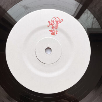 JANE DOE ENSEMBLE - PINK LIQUOR / RESPECT 7" - Image 3