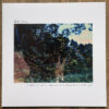 番長 TASTE - I DIPPED MY COMB IN SHOCHU AND RAN IT THROUGH THE HAIR OF THE NIGHT LP