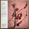 番長 TASTE - I DIPPED MY COMB IN SHOCHU AND RAN IT THROUGH THE HAIR OF THE NIGHT LP - Image 2
