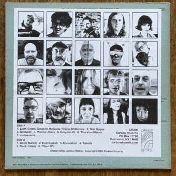 VARIOUS - THE SUN IS NOT TRUE LP - Image 2