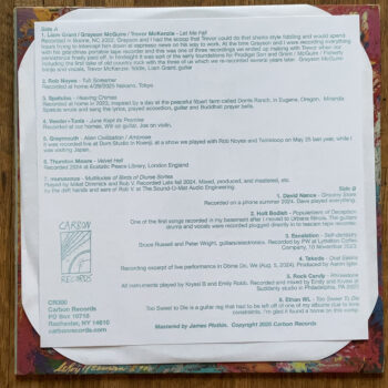 VARIOUS - THE SUN IS NOT TRUE LP - Image 3