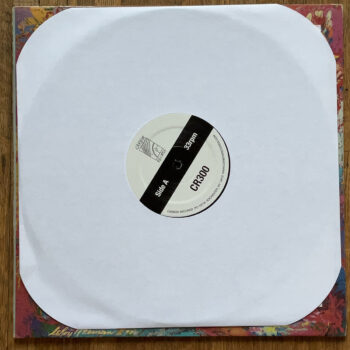 VARIOUS - THE SUN IS NOT TRUE LP - Image 5