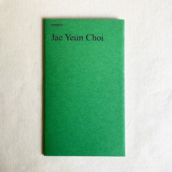 JAE YEUN CHOI/ETHAN SWAN: HONESTY/COMPLEY