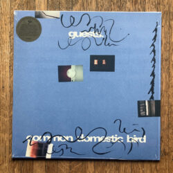 GUESTS - COMMON DOMESTIC BIRD LP