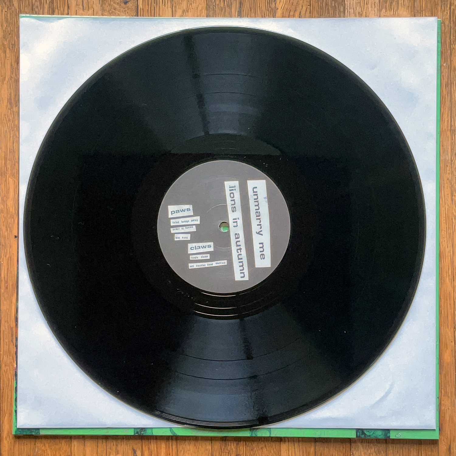 UNMARRY ME - LIONS IN AUTUMN 12" EP - Image 3