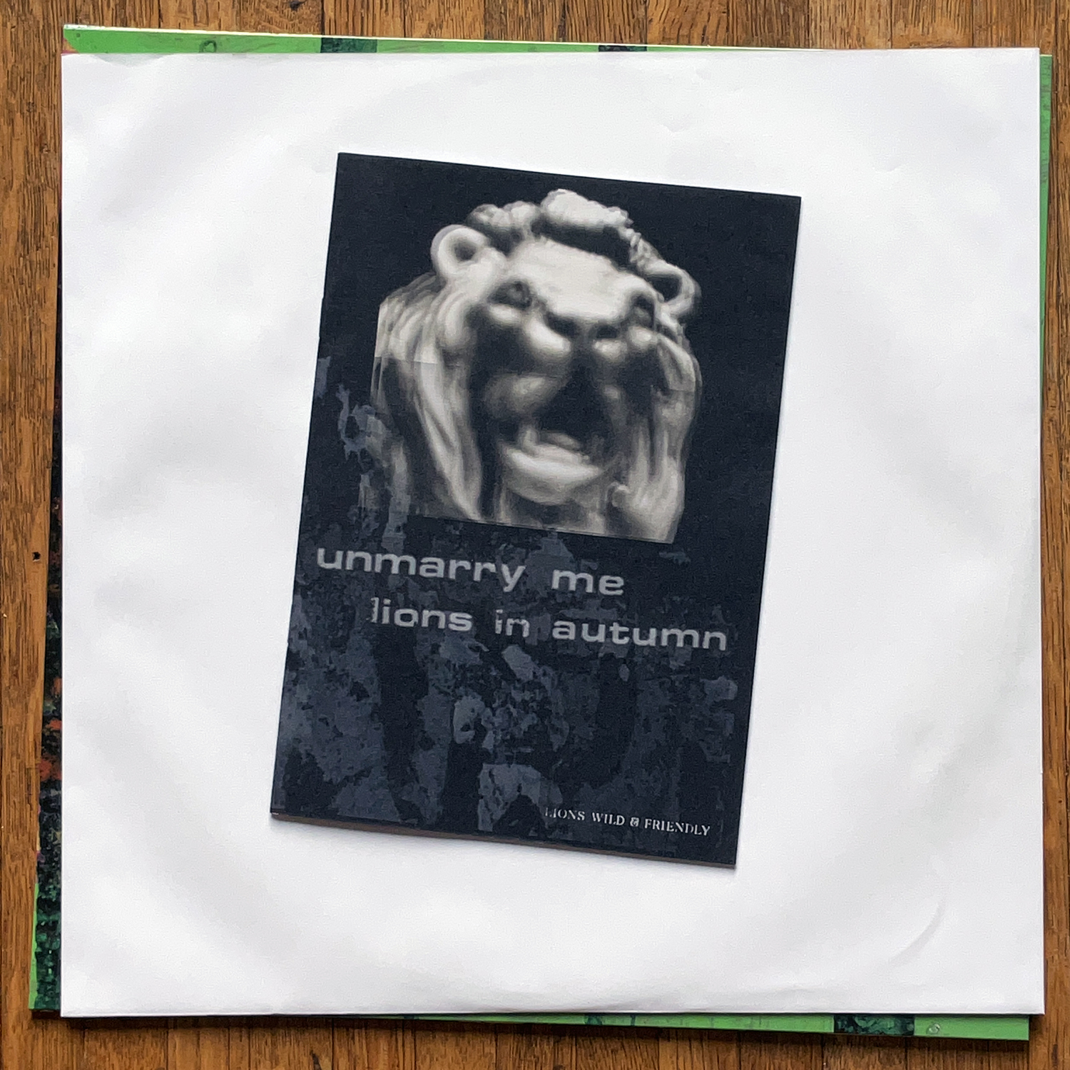 UNMARRY ME - LIONS IN AUTUMN 12" EP - Image 5
